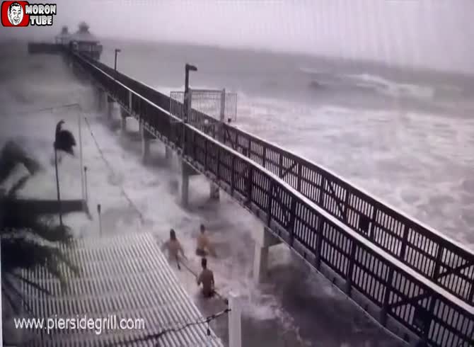 Video :These fools are adrift in their misery